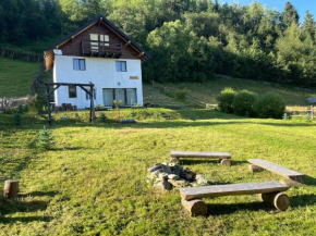 Cabana La Trei Brazi Carlibaba